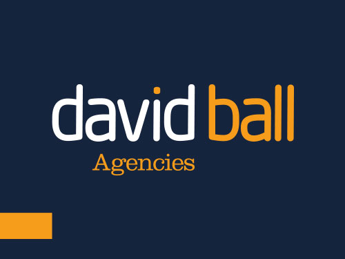 David Ball Agencies Newquay